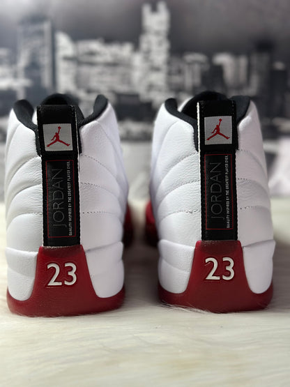 Jordan 12 Retro 2023 Cherry CT8013-116