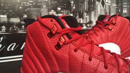 Jordan Retro 12 "Alternate"