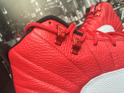 Jordan Retro 12 "Alternate"